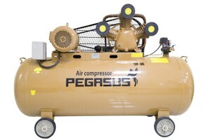 Máy nén khí Pegasus TM-W-0.9/8-500L