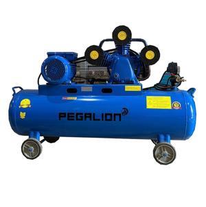 Máy nén khí Pegasus TM-W-0.9/8-500L