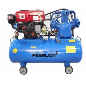 Máy nén khí Pegasus TM-W-1.0/8-500L