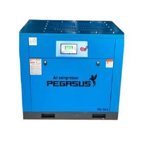 Máy nén khí trục vít biến tần Pegasus TMBT75A