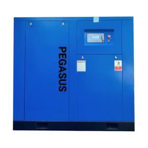 Máy nén khí trục vít PEGASUS TMPM10A