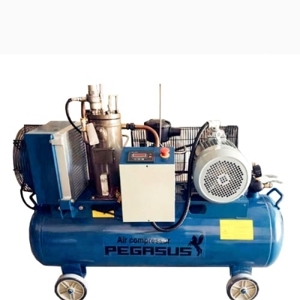 Máy nén khí trục vít Pegasus TMTV-7.5A