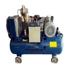 Máy nén khí trục vít Pegasus TMTV-10A - 7.5KW