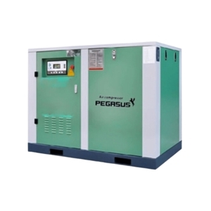 Máy nén khí trục vít PEGASUS TMPM20A