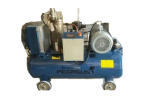 Máy nén khí trục vít Pegasus TMTV-7.5A