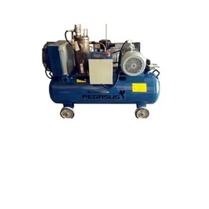 Máy nén khí trục vít Pegasus TMTV-15A