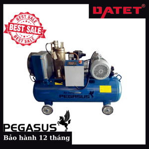 Máy nén khí trục vít Pegasus TMTV-10A - 7.5KW