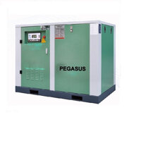 Máy nén khí trục vít Pegasus TMPM120A