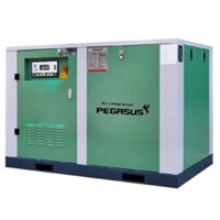 Máy nén khí trục vít Pegasus TMPM60A