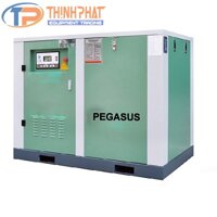 Máy Nén Khí Trục Vít Pegasus TMPM150A