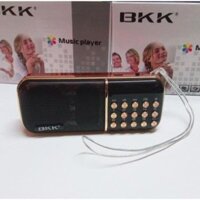 Máy Nghe Kinh Phật, Nghe Nhạc Thẻ Nhớ, Nghe Đài FM BKK B851 (Đỏ)