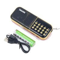 Máy nghe nhạc,  Radio FM,  nghe kinh phật Craven CR-25A