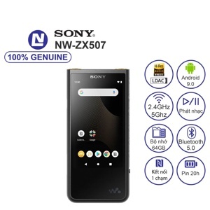 Máy nghe nhạc Sony Walkman NW-ZX507