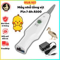 Máy Nhổ Lông Vịt Cầm Tay PIN A500 250W PIN 6000 mAh Dùng 6-7H Chống Nước Nhập Khẩu Đài Loan Bảo Hành 12 Tháng