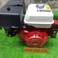 Máy nổ chạy xăng 15hp có đề Yokohama