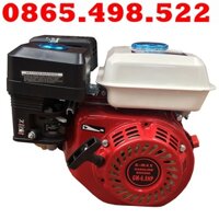 Máy Nổ – Động Cơ Xăng Gmax 6.5HP Trắng