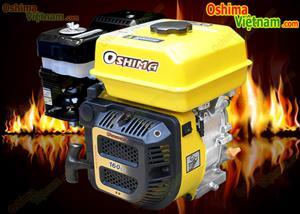 Máy Nổ Xăng Oshima Gold OSG60 6.5HP