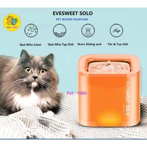 Máy nước tự động cho thú cưng Petkit Eversweet Solo Version