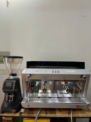 Máy pha cà phê chuyên nghiệp Wega IO EVD/2