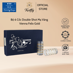 Máy pha cafe Saeco Vienna Plus