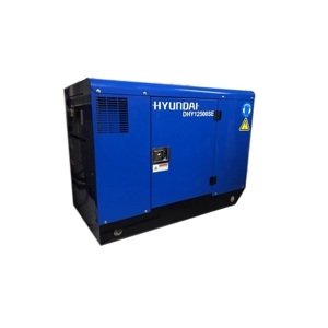 Máy phát điện Hyundai DHY12500SE