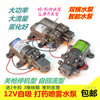 Máy phun nước điện 12V, máy bơm áp suất cao, động cơ bơm kép, máy phun nông nghiệp, máy bơm chai nước, miễn phí vận chuyển