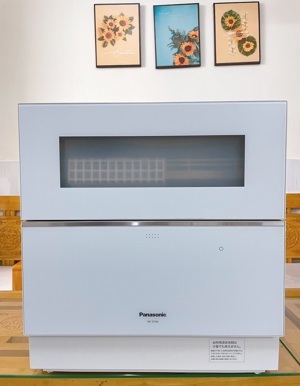 Máy rửa bát để bàn 6 bộ Panasonic NP-TZ100