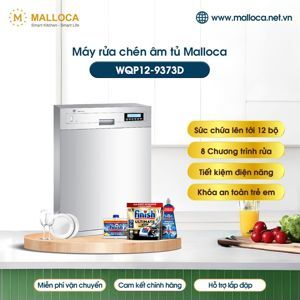 Máy rửa bát âm tủ Malloca 12 bộ WQP12-9373D