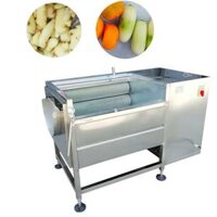 Máy Rửa Củ Gừng, Củ Nghệ Tươi