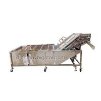Máy rửa rau củ quả công nghiệp