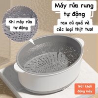 Máy rửa rau củ quả và tất cả loại thịt tiệt trùng khử trùng