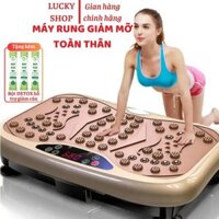 Máy Rung Giảm Mỡ Toàn Thân, Máy Rung Toàn Thân, Máy Rung Lắc Toàn Thân