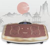 Máy rung toàn thân FUJISUMA Ultrathin Body Slimmer (300W - 199 cấp độ)