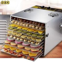 Máy sấy 10 khay