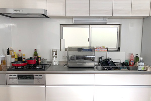 Máy sấy bát Mitsubishi TK-ST11