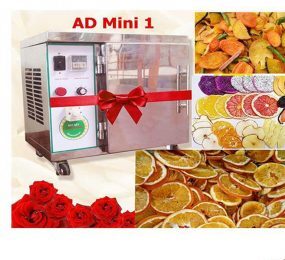 Máy sấy gia đình ánh dương AD Mini 1