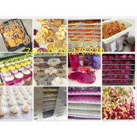 Máy sấy hoa quả, trái cây - Máy sấy khô thực phẩm 6 khay inox [BH 12 Tháng]