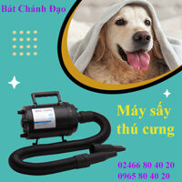 Máy sấy lông cho thú y