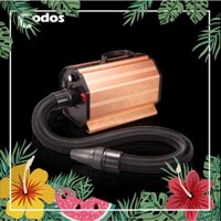 Máy sấy lông chuyên dung cho chó mèo - Codos CP160, CP200