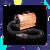 Máy sấy lông chuyên dung cho chó mèo - Codos CP160, CP200