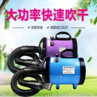 Máy Sấy Lông Spa Cho Thú Cưng SH-168