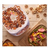 máy sấy thực phẩm chính hãng, máy sấy hoa quả, máy sấy thịt