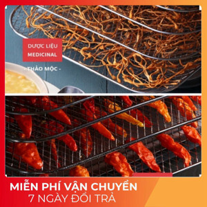 Máy sấy thực phẩm Morphy Richards MR6255