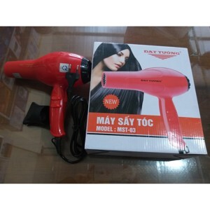 Máy sấy tóc Delites MST03