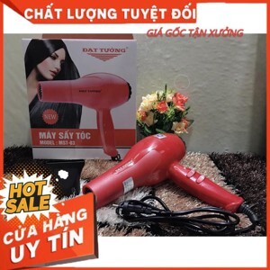 Máy sấy tóc Delites MST03