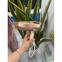 Máy sấy tóc Hasuka HSK 126