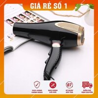 Máy Sấy Tóc - Máy Sấy cao cấp PL PH-6615 2 Chiều 3000W (Bảo hành đổi mới )