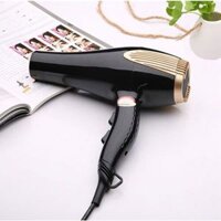 Máy sấy tóc PL công suất lớn 6000W, máy sấy tóc chuyên nghiệp sấy nhanh, sấy khoẻ