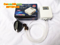 Máy sục khí Oxy, máy sục oxy mini cho thùng đựng cá