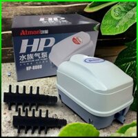 Máy sủi Atman HP 12000